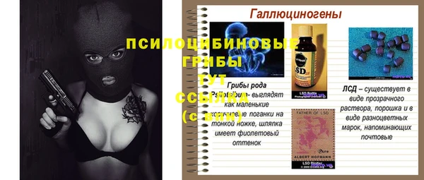 твердый Сосновый Бор