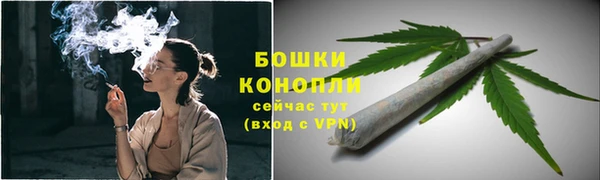 эйфоретик Вяземский