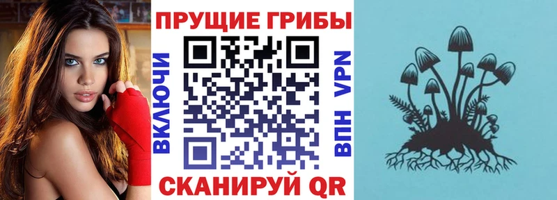 Галлюциногенные грибы Cubensis Луховицы